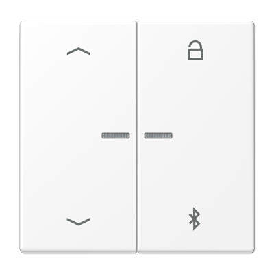 JUNG LS 990 Белый матовый Таймер универсальный Bluetooth с символами "стрелки"