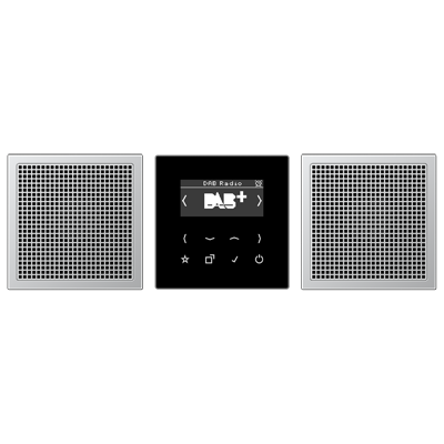 JUNG Смарт радио DAB+, стерео черный/алюминий