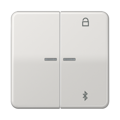JUNG Таймер универсальный Bluetooth, светло-серый