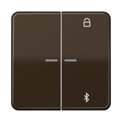 JUNG Таймер универсальный Bluetooth, коричневый