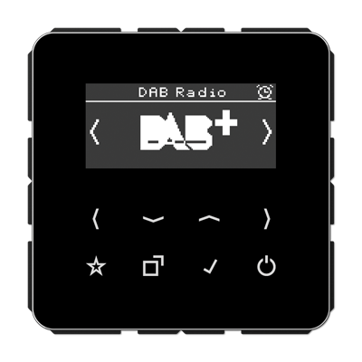 JUNG Цифровое радио DAB +, чёрный