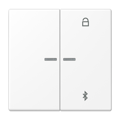 JUNG LS 990 Белый матовый Таймер универсальный Bluetooth