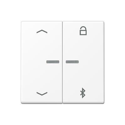 JUNG A Flow/A 550 Белый матовый Таймер универсальный Bluetooth «стрелки»