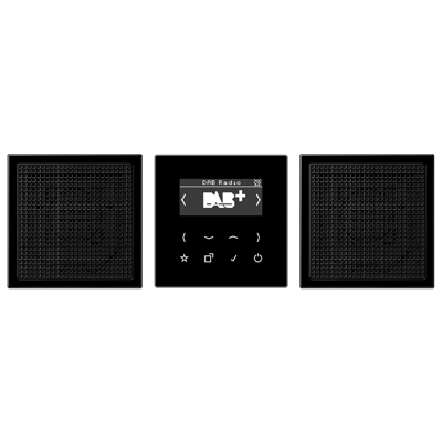 JUNG Смарт радио DAB+, стерео черный