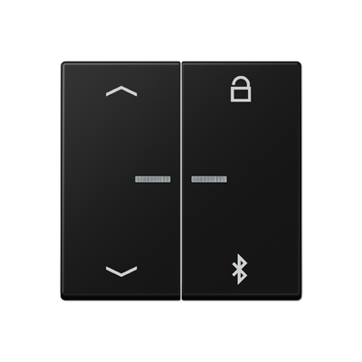 JUNG A Flow/A 550 Черный матовый Таймер универсальный Bluetooth «стрелки»