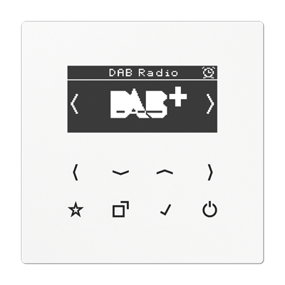 JUNG Цифровое радио DAB +, белый
