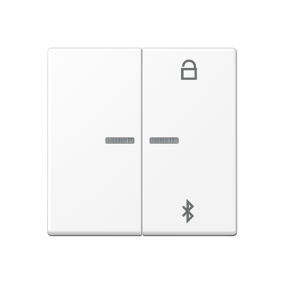 JUNG A Flow/A 550 Белый матовый Таймер универсальный Bluetooth