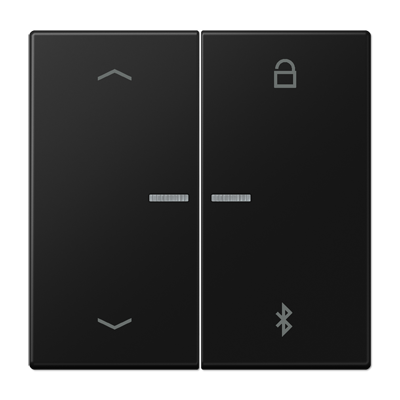 JUNG LS 990 Черный матовый Таймер универсальный Bluetooth с символами "стрелки"