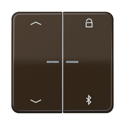 JUNG Таймер универсальный Bluetooth «стрелки», коричневый