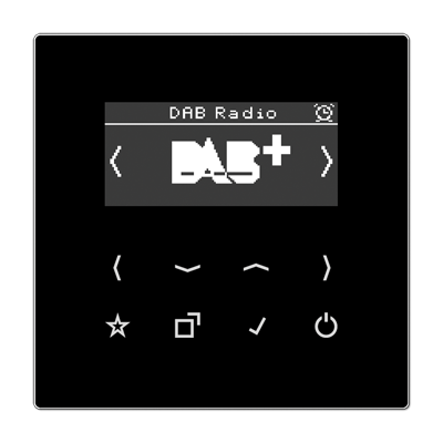 JUNG Цифровое радио DAB +, чёрный